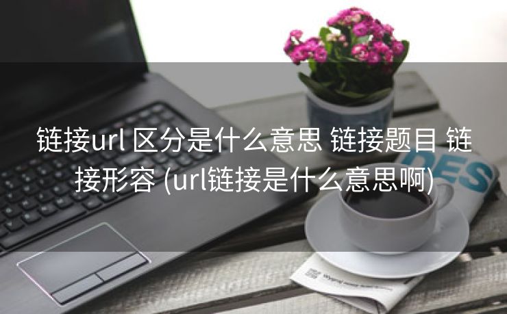 链接url 区分是什么意思 链接题目 链接形容 (url链接是什么意思啊)