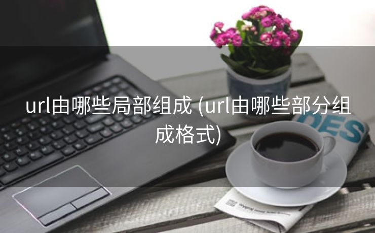 url由哪些局部组成 (url由哪些部分组成格式)