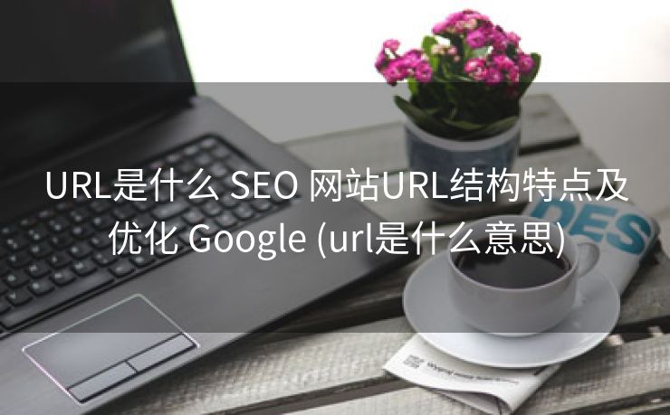 URL是什么 SEO 网站URL结构特点及优化 Google (url是什么意思)