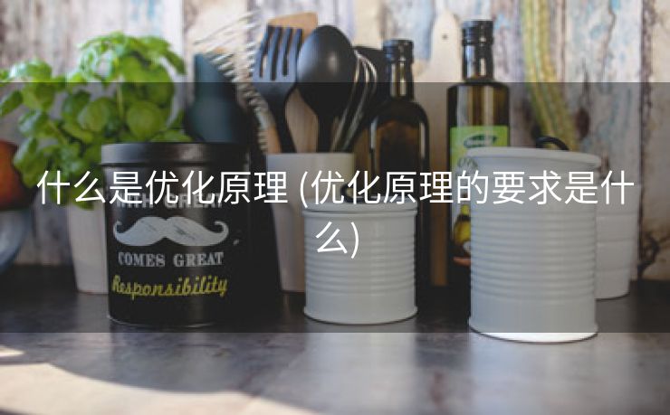 什么是优化原理 (优化原理的要求是什么)
