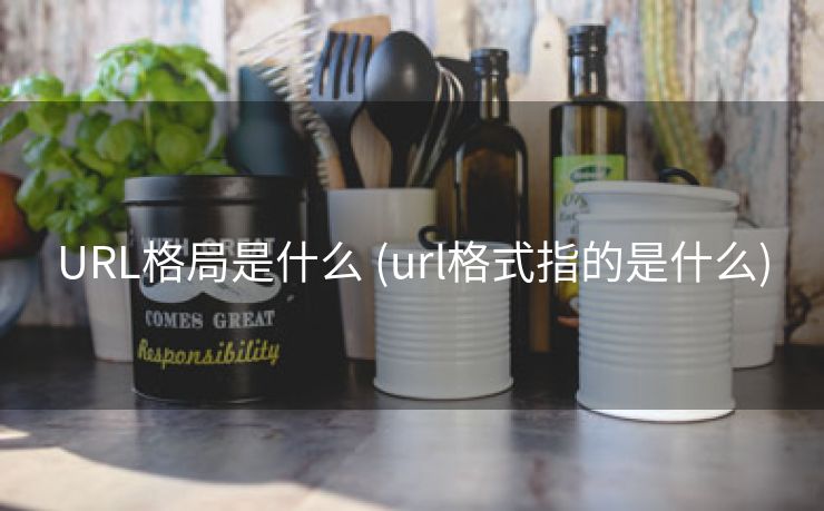 URL格局是什么 (url格式指的是什么)