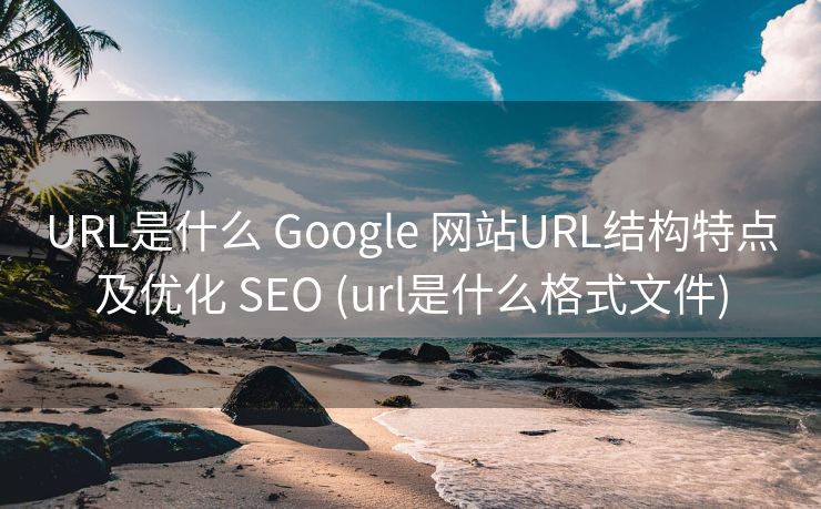 URL是什么 Google 网站URL结构特点及优化 SEO (url是什么格式文件)