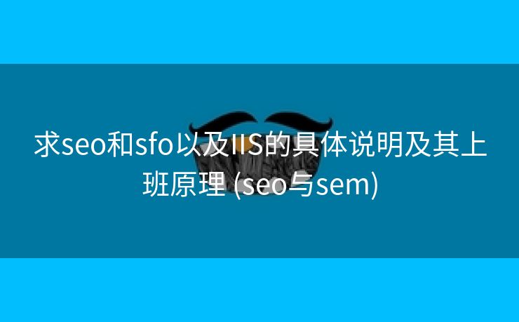 求seo和sfo以及IIS的具体说明及其上班原理 (seo与sem)