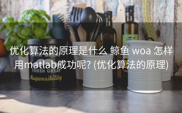 优化算法的原理是什么 鲸鱼 woa 怎样用matlab成功呢? (优化算法的原理)