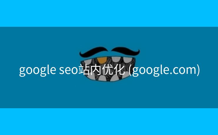 google seo站内优化 (google.com)