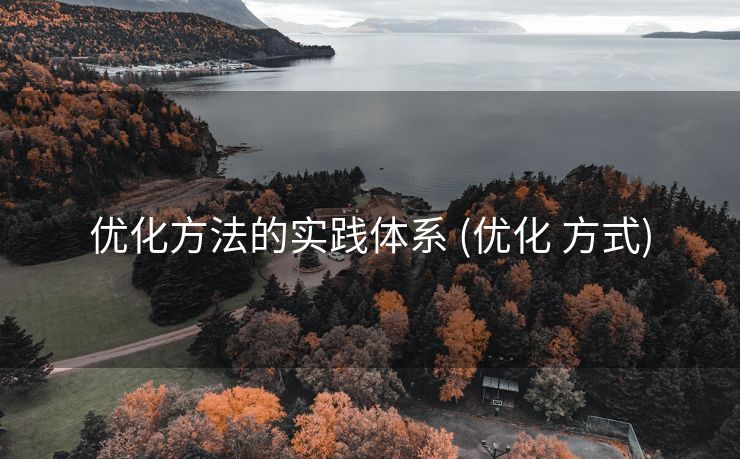 优化方法的实践体系 (优化 方式)