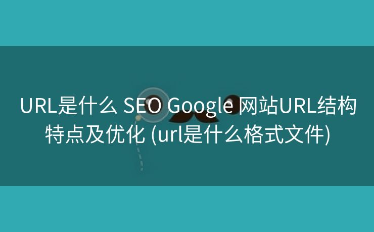 URL是什么 SEO Google 网站URL结构特点及优化 (url是什么格式文件)