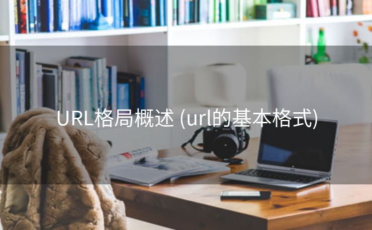 URL格局概述 (url的基本格式)