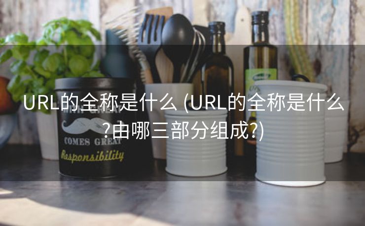 URL的全称是什么 (URL的全称是什么?由哪三部分组成?)