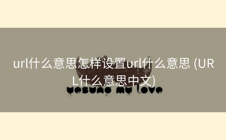 url什么意思怎样设置url什么意思 (URL什么意思中文)