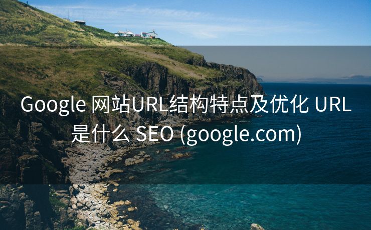 Google 网站URL结构特点及优化 URL是什么 SEO (google.com)