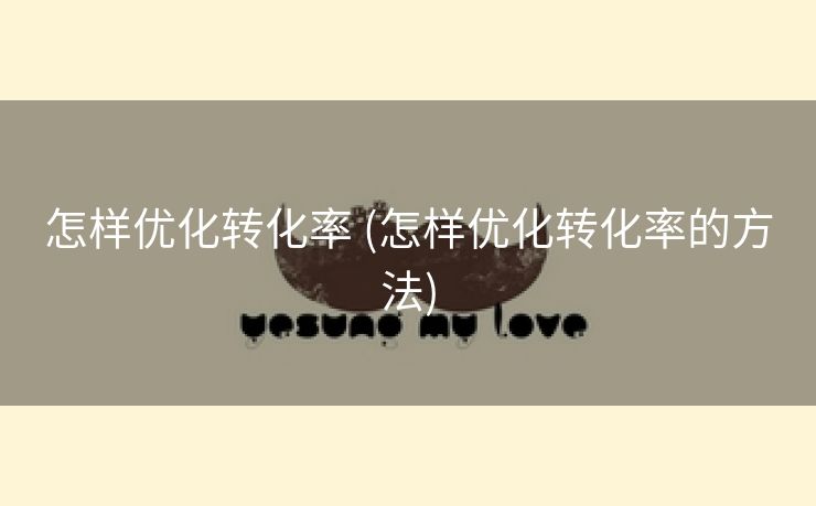 怎样优化转化率 (怎样优化转化率的方法)