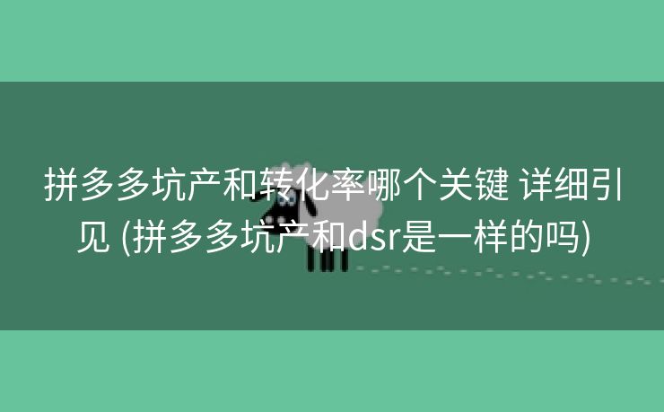 拼多多坑产和转化率哪个关键 详细引见 (拼多多坑产和dsr是一样的吗)