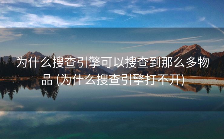为什么搜查引擎可以搜查到那么多物品 (为什么搜查引擎打不开)