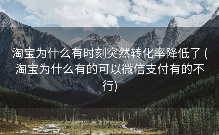 淘宝为什么有时刻突然转化率降低了 (淘宝为什么有的可以微信支付有的不行)