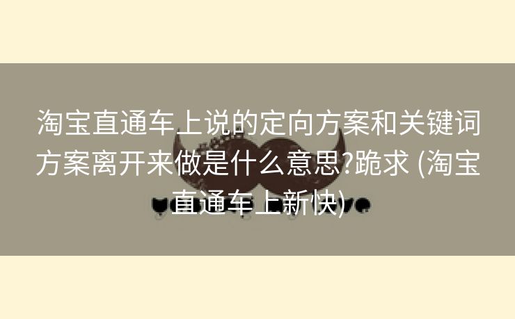 淘宝直通车上说的定向方案和关键词方案离开来做是什么意思?跪求 (淘宝直通车上新快)