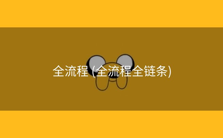 全流程 (全流程全链条)