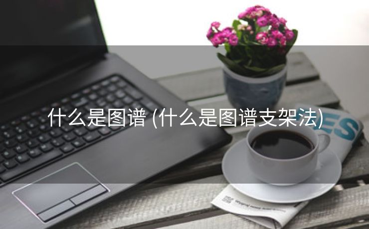 什么是图谱 (什么是图谱支架法)