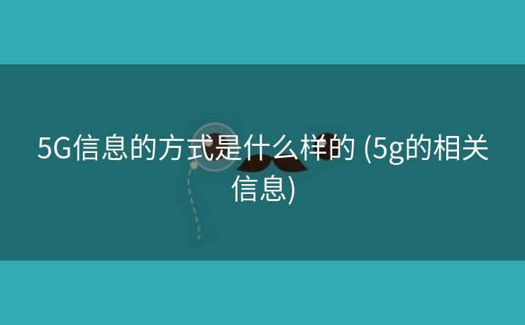 5G信息的方式是什么样的 (5g的相关信息)
