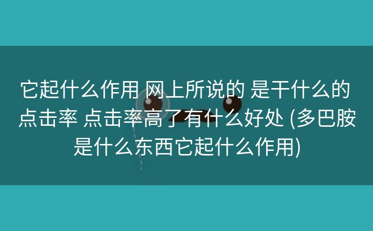 它起什么作用 网上所说的 是干什么的 点击率 点击率高了有什么好处 (多巴胺是什么东西它起什么作用)