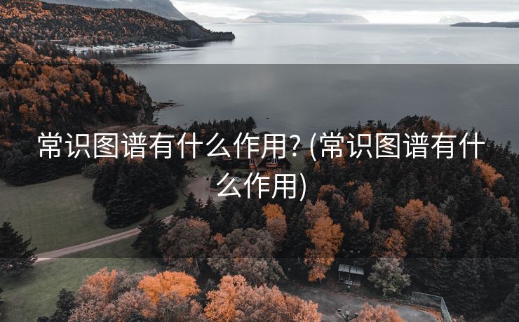 常识图谱有什么作用? (常识图谱有什么作用)