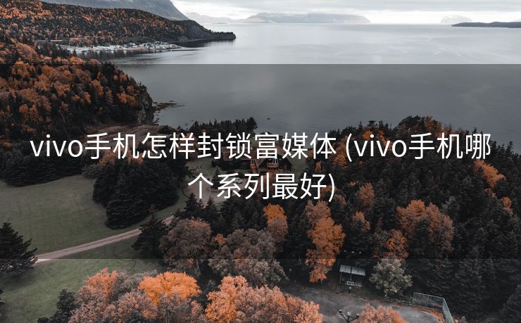 vivo手机怎样封锁富媒体 (vivo手机哪个系列最好)