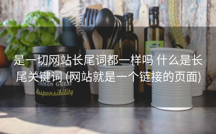 是一切网站长尾词都一样吗 什么是长尾关键词 (网站就是一个链接的页面)