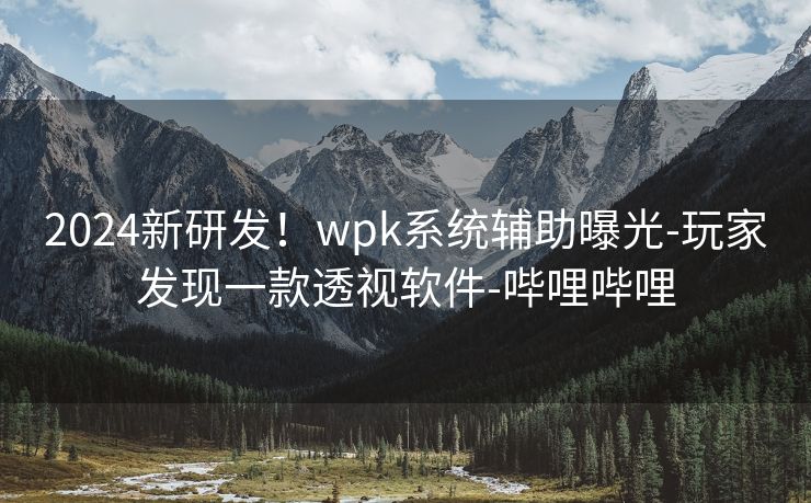 2024新研发！wpk系统辅助曝光-玩家发现一款透视软件-哔哩哔哩