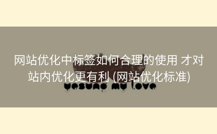 网站优化中标签如何合理的使用 才对站内优化更有利 (网站优化标准)