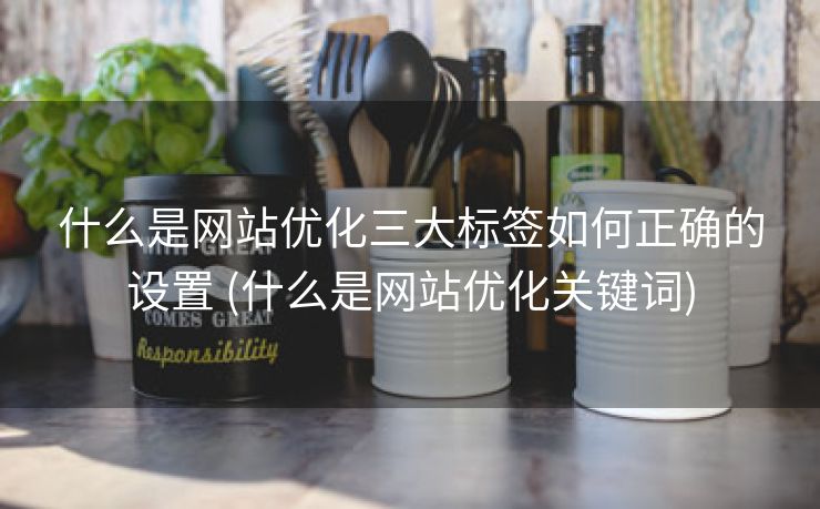 什么是网站优化三大标签如何正确的设置 (什么是网站优化关键词)