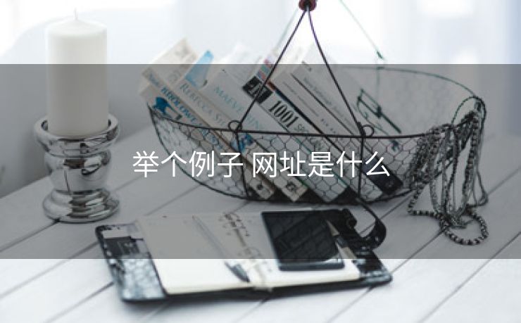 举个例子 网址是什么