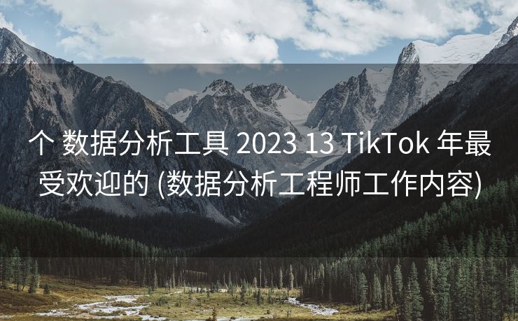 个 数据分析工具 2023 13 TikTok 年最受欢迎的 (数据分析工程师工作内容)