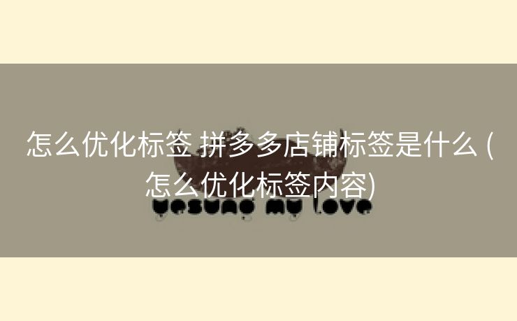 怎么优化标签 拼多多店铺标签是什么 (怎么优化标签内容)