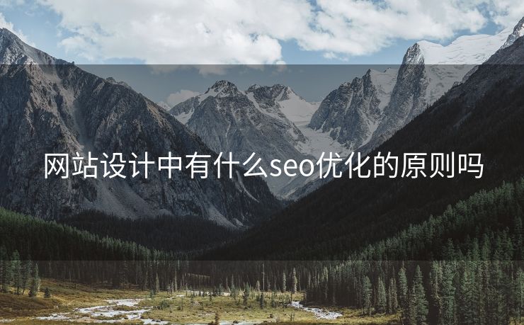 网站设计中有什么seo优化的原则吗