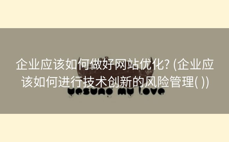 企业应该如何做好网站优化? (企业应该如何进行技术创新的风险管理( ))