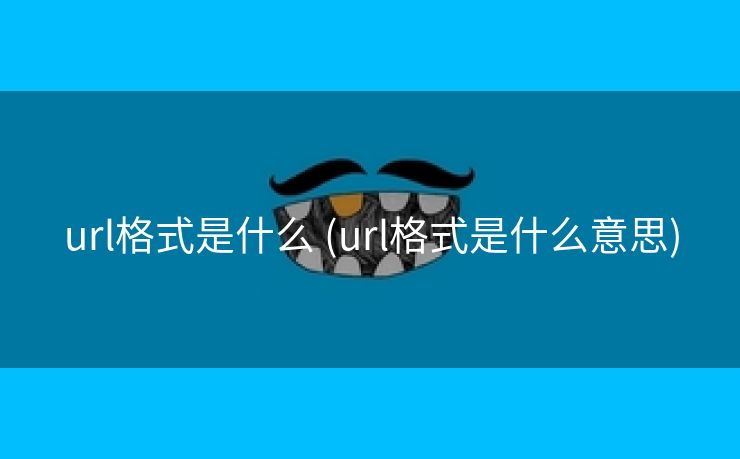 url格式是什么 (url格式是什么意思)