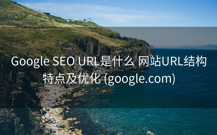 Google SEO URL是什么 网站URL结构特点及优化 (google.com)