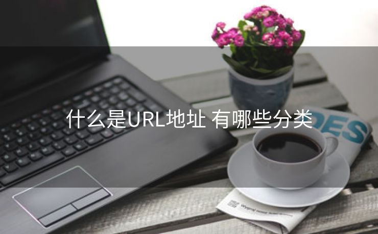 什么是URL地址 有哪些分类