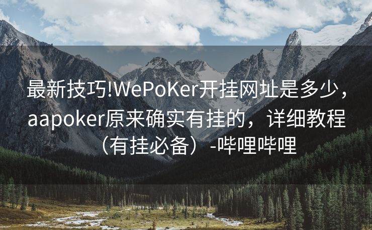 最新技巧!WePoKer开挂网址是多少，aapoker原来确实有挂的，详细教程（有挂必备）-哔哩哔哩