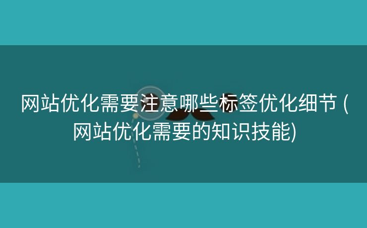 网站优化需要注意哪些标签优化细节 (网站优化需要的知识技能)