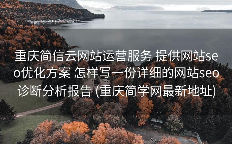 重庆简信云网站运营服务 提供网站seo优化方案 怎样写一份详细的网站seo诊断分析报告 (重庆简学网最新地址)