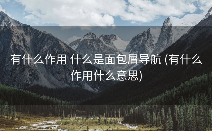 有什么作用 什么是面包屑导航 (有什么作用什么意思)