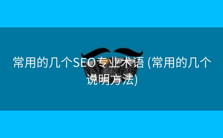 常用的几个SEO专业术语 (常用的几个说明方法)