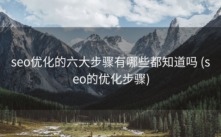 seo优化的六大步骤有哪些都知道吗 (seo的优化步骤)