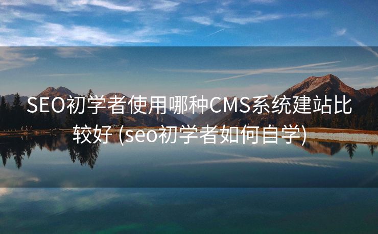 SEO初学者使用哪种CMS系统建站比较好 (seo初学者如何自学)