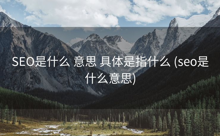 SEO是什么 意思 具体是指什么 (seo是什么意思)