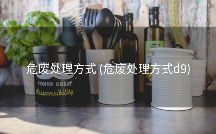 危废处理方式 (危废处理方式d9)