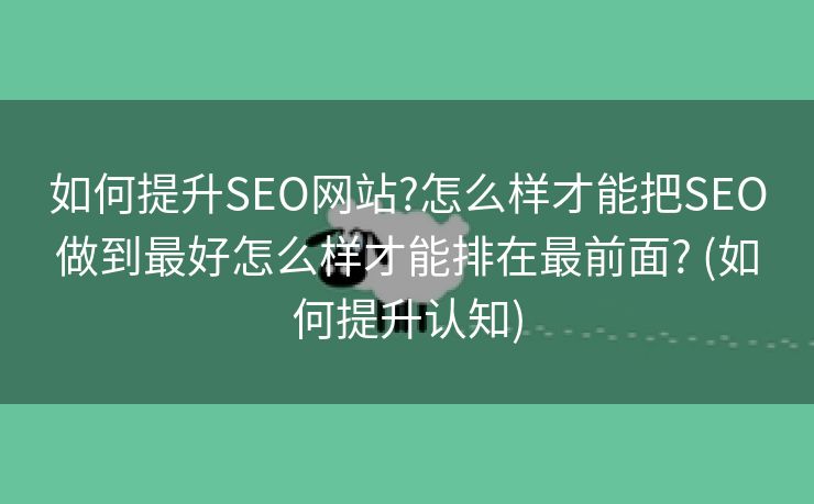 如何提升SEO网站?怎么样才能把SEO做到最好怎么样才能排在最前面? (如何提升认知)