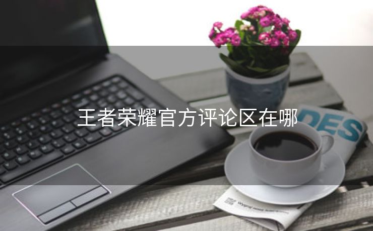 王者荣耀官方评论区在哪
