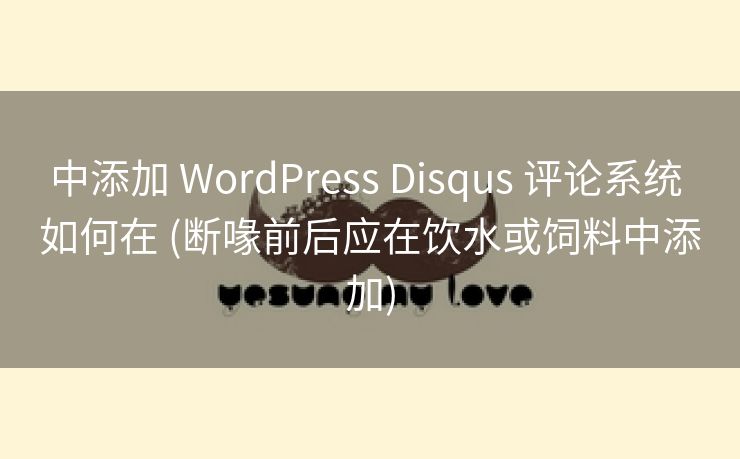 中添加 WordPress Disqus 评论系统 如何在 (断喙前后应在饮水或饲料中添加)